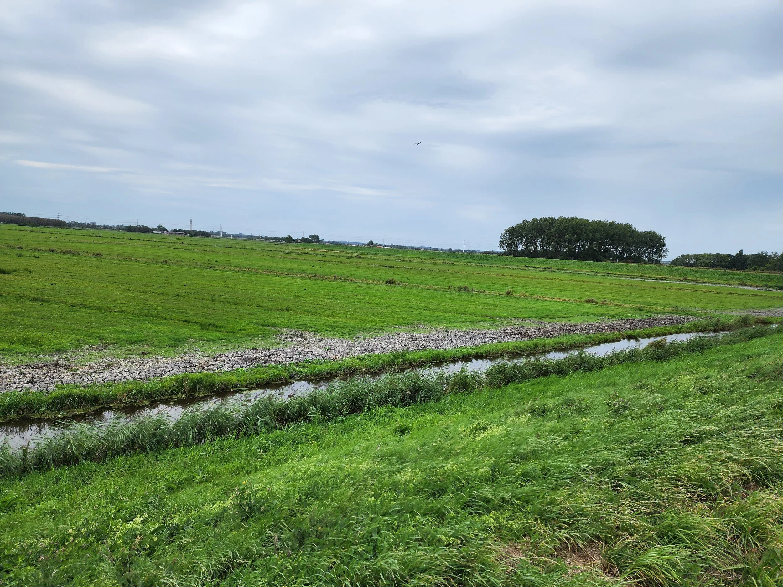 Dutch countryside