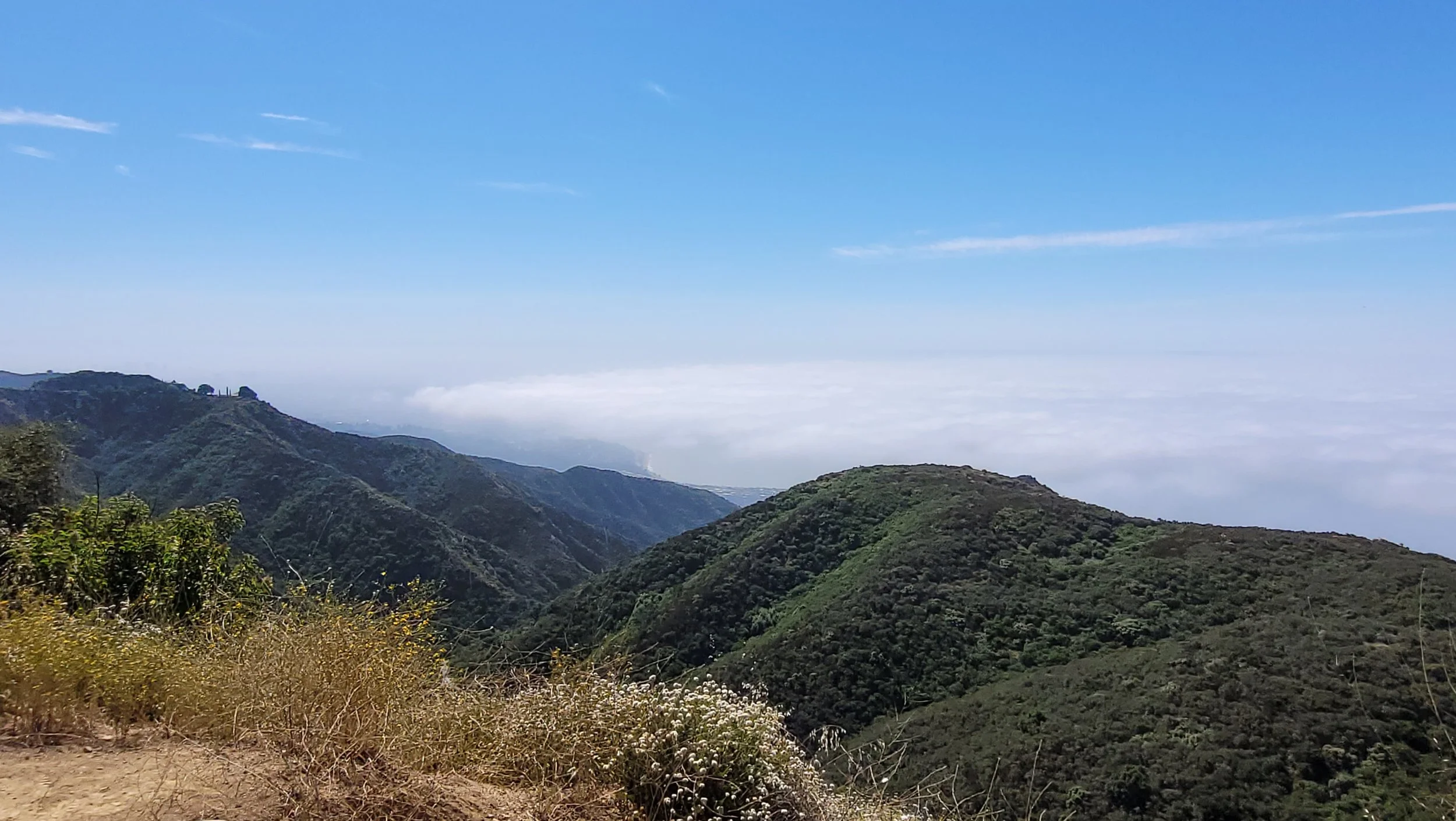 North of Malibu - 15 July 2023