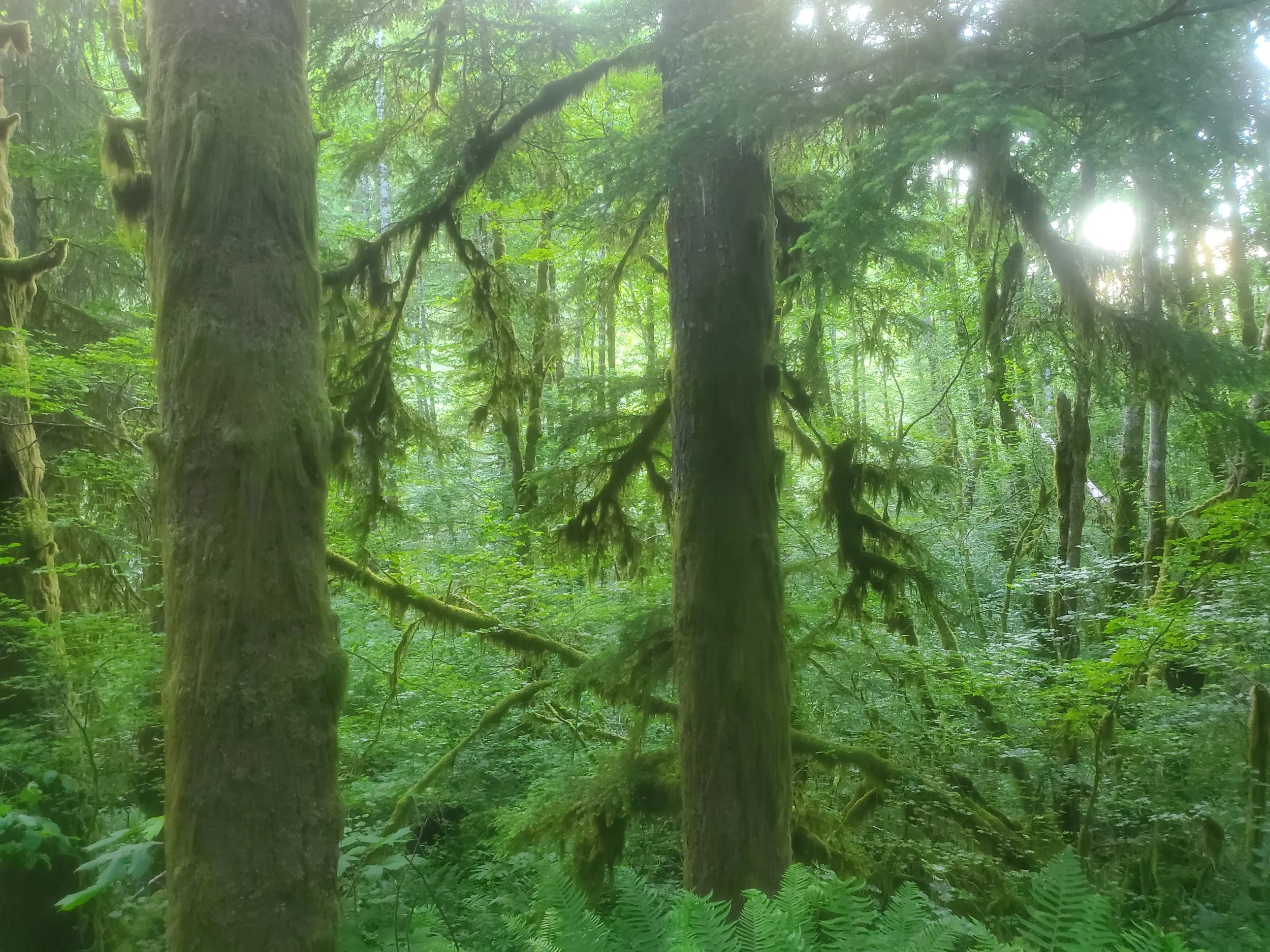 Oregon - 20 June 2022
